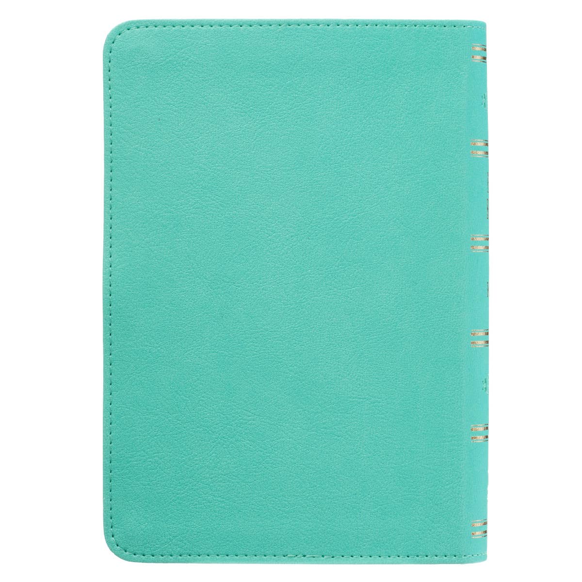Robin’s-egg Blue Faux Leather Large Print Compact King James