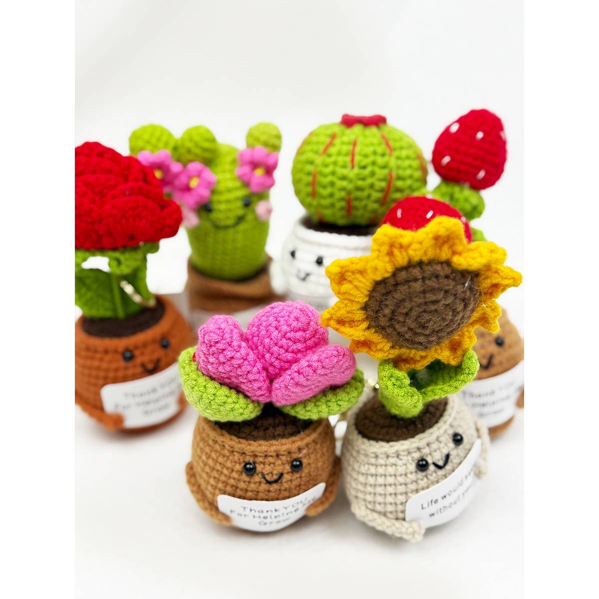 Positive Crochet Potted Succulent KeyChain
